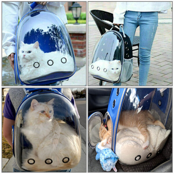 Portable Carrier-The Set Pet